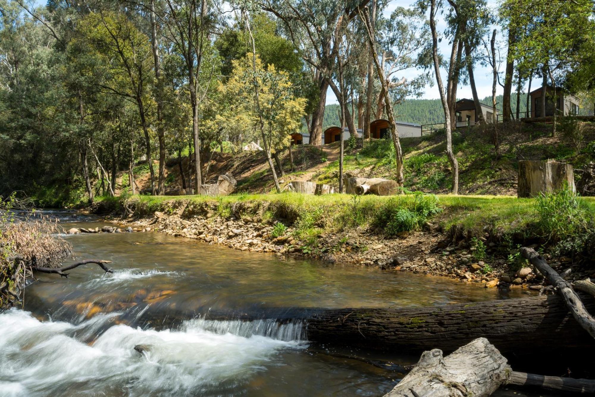 Bright Cabin Park Bagian luar foto